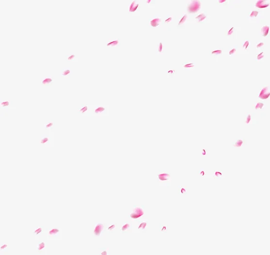 唯美花瓣底纹背景免抠