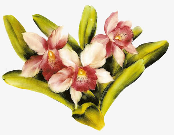 桃花免抠