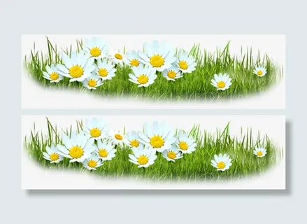 一片小雏菊免抠