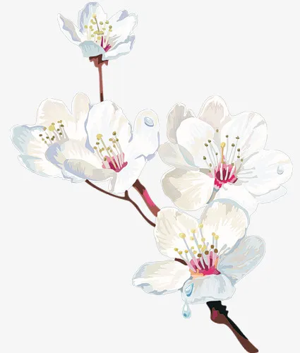 卡通花草素材免抠