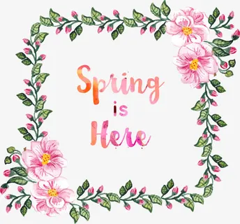 矢量手绘花朵装饰边框免抠