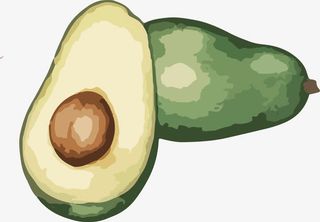 卡通牛油果免抠