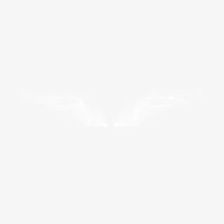 水花翅膀素材免抠