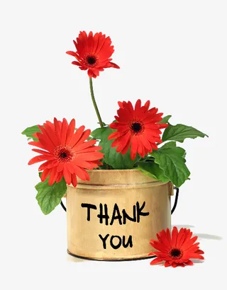 感恩节花卉免抠