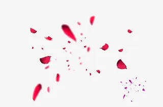 粉红色花瓣漂浮免抠