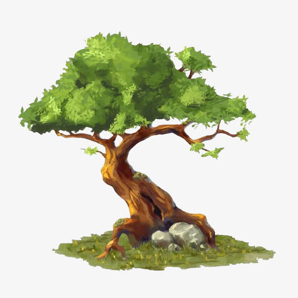 树根旁的石头免抠