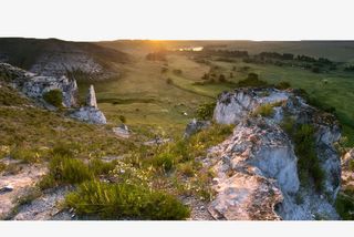 阳光中的草地免抠