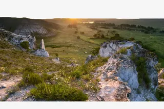 阳光中的草地免抠