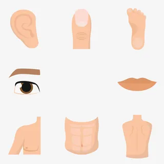 矢量五官免抠