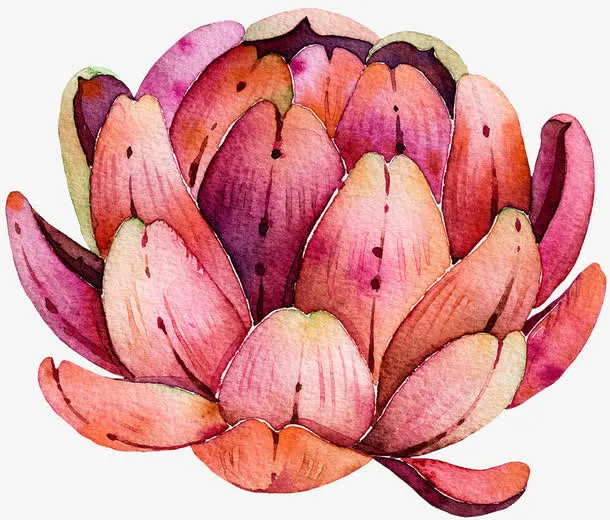 手绘水墨莲花免抠
