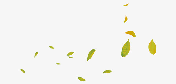 淘宝树叶漂浮素材免抠漂浮叶子元素