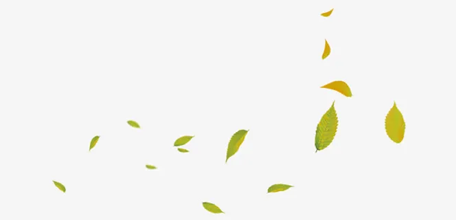 淘宝树叶漂浮素材免抠漂浮叶子元素