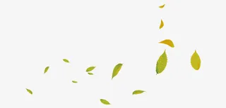 淘宝树叶漂浮素材免抠漂浮叶子元素