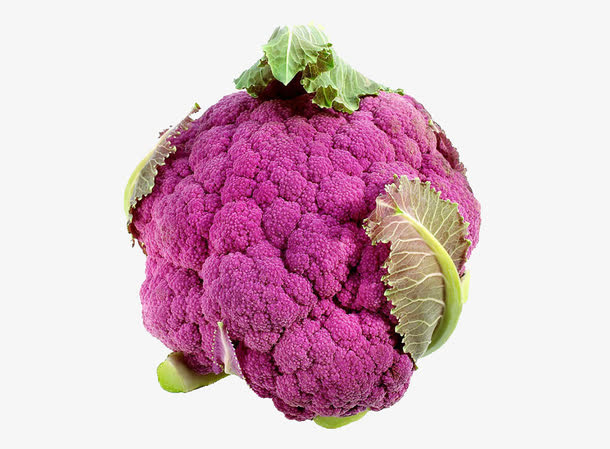 红色花菜免抠