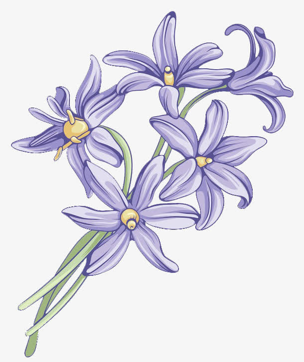 紫色花朵免抠