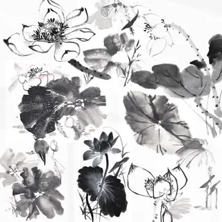 水墨画荷花免抠