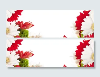 大气花朵几何红白背景高清