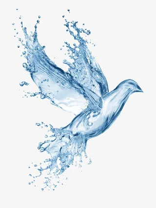 水合成的鸽子免抠