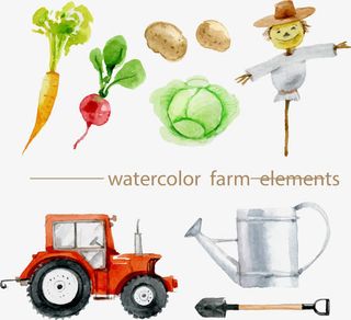 矢量生态有机食品免抠