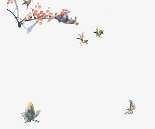 古典手绘水墨花朵植物蝴蝶免抠