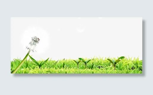蒲公英 草地 发芽png素材免抠 蒲公英 草地 发芽png素材免抠