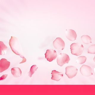 手工皂花瓣粉色主图高清