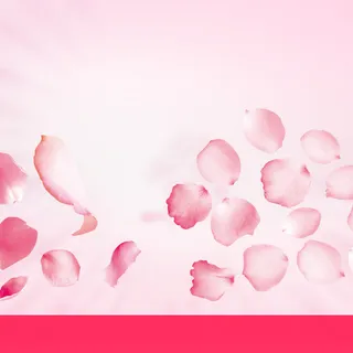 手工皂花瓣粉色主图高清