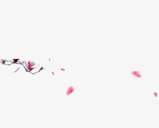 飘浮花瓣免抠