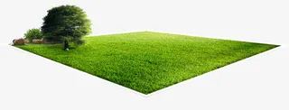 绿化草地免抠