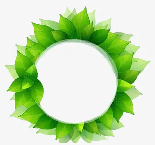创意绿叶边框免抠