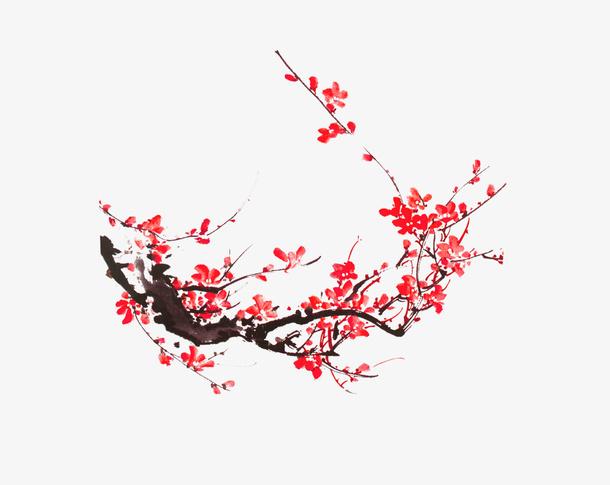 梅花免抠