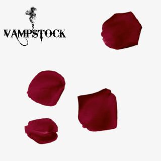 深红色花瓣实物免抠