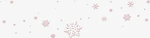 冬日唯美白色雪花造型免抠