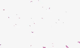 花瓣 飘落 古风 元素免抠