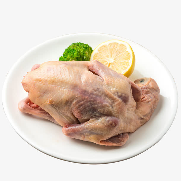 生态乳鸽免抠
