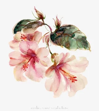 粉色大气时尚花朵春天免抠