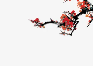寒冬腊梅素材免抠