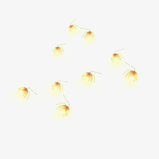 花瓣漂浮物免抠