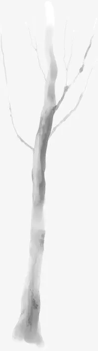 白色手绘卡通树枝免抠