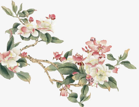 古风花朵树枝免抠