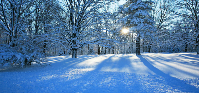 唯美冬季雪景背景高清