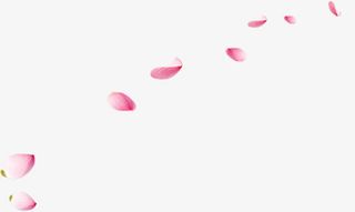飘飞粉色花瓣免抠