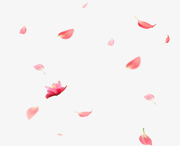 瓣素材大图免抠