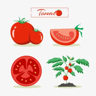 特色红色西红柿免抠