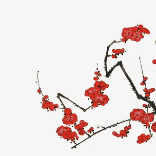 国画梅花免抠