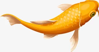黄色鲤鱼矢量素材图免抠