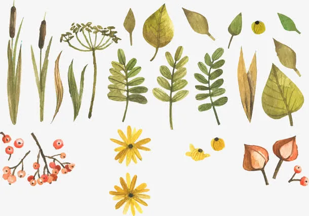 手绘植物矢量图免抠