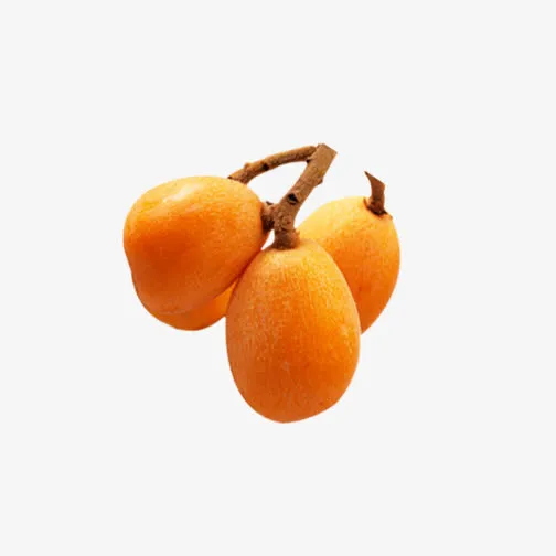 一串枇杷免抠