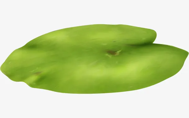 绿色荷叶免抠