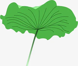 夏天清爽荷叶免抠